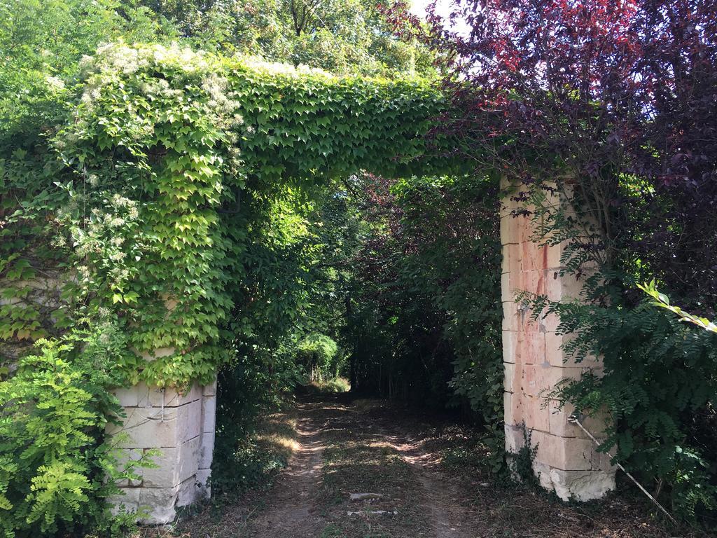 Apartmán Les Terrasses De Chaumont 1 Montsoreau Exteriér fotografie